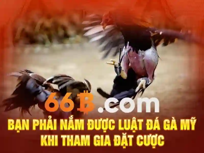 66b: một câu chuyện về con số\n 66b: một câu chuyện về con số\n