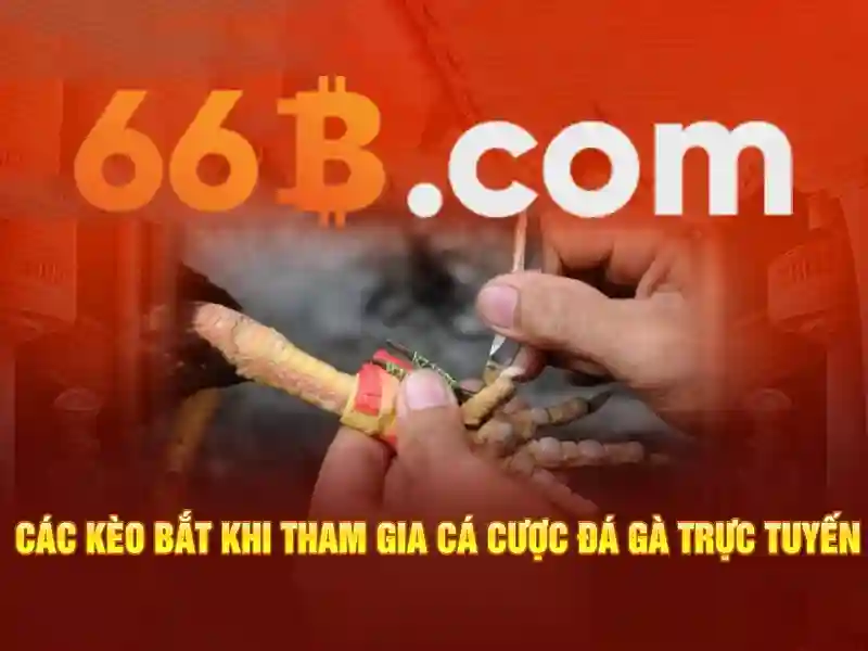 bánh mì chay 66b trần hưng đạo – tổng quan chủ đề và giá trị cốt lõi