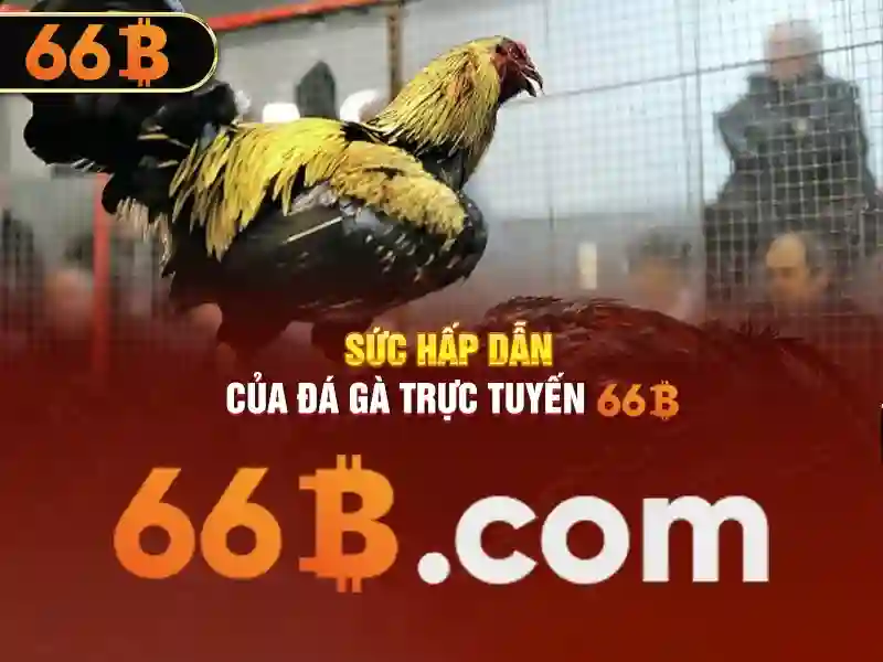 Tổng quan về các loại giấy phép hoạt động của nhà cái 66b uy tín