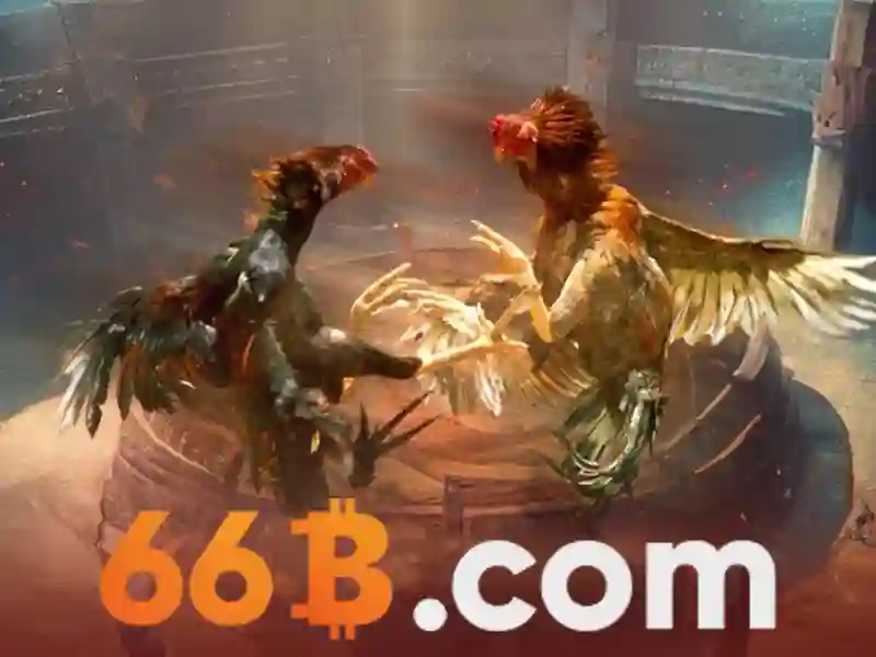 Lợi ích của 66b Lợi ích của 66b