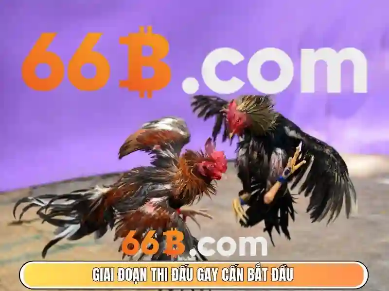 ngõ 66b triều khúc thuộc phường nào - 66b 1 Đăng Nhập