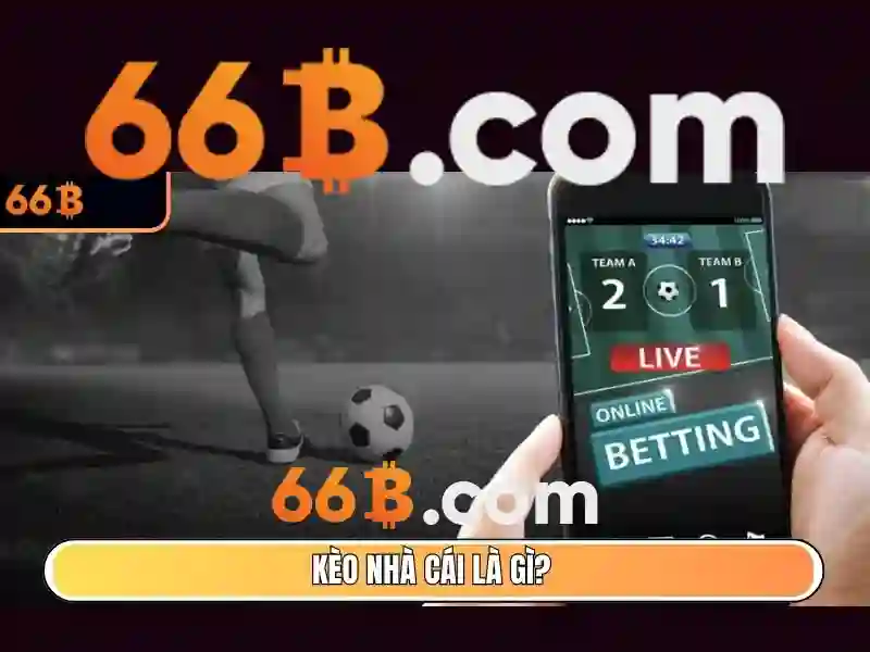 nhà cái 66b – Trải nghiệm đỉnh cao và đánh giá tin cậy 1 Đăng Nhập