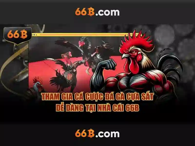 Đặc điểm nổi bật