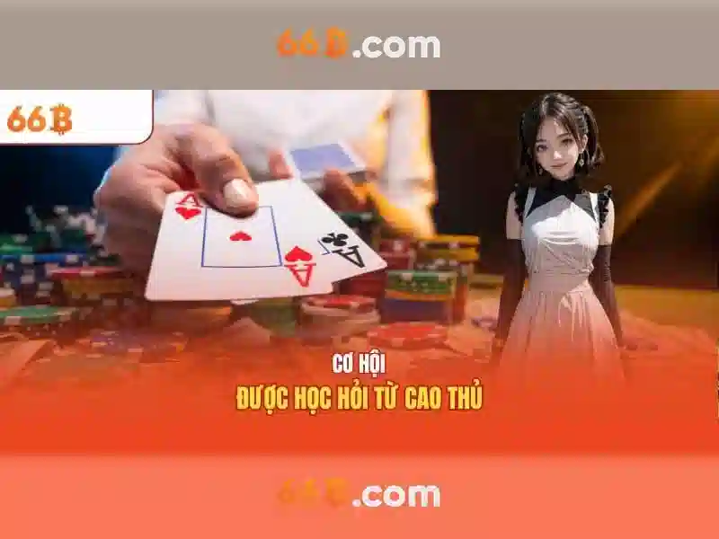 66b như một ký hiệu trong công nghệ thông tin 66b như một ký hiệu trong công nghệ thông tin