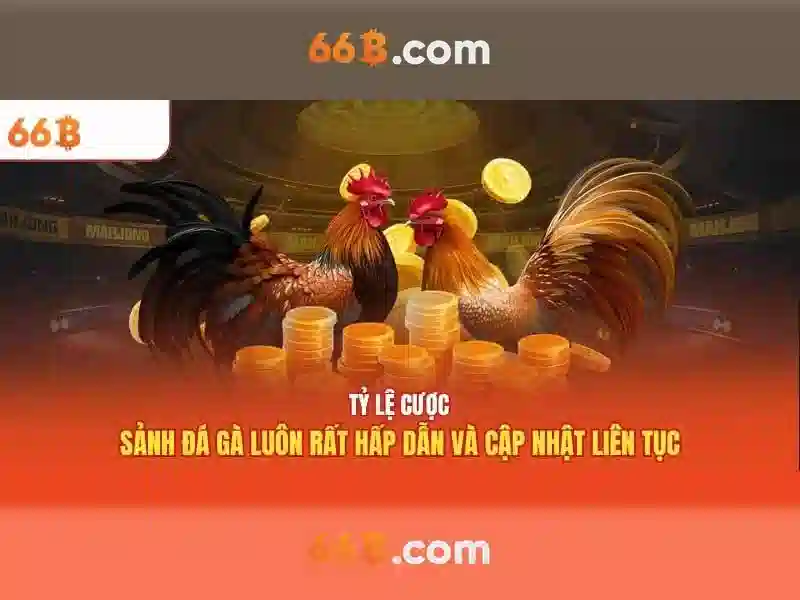 66b: Khái niệm, lịch sử và ứng dụng Go88