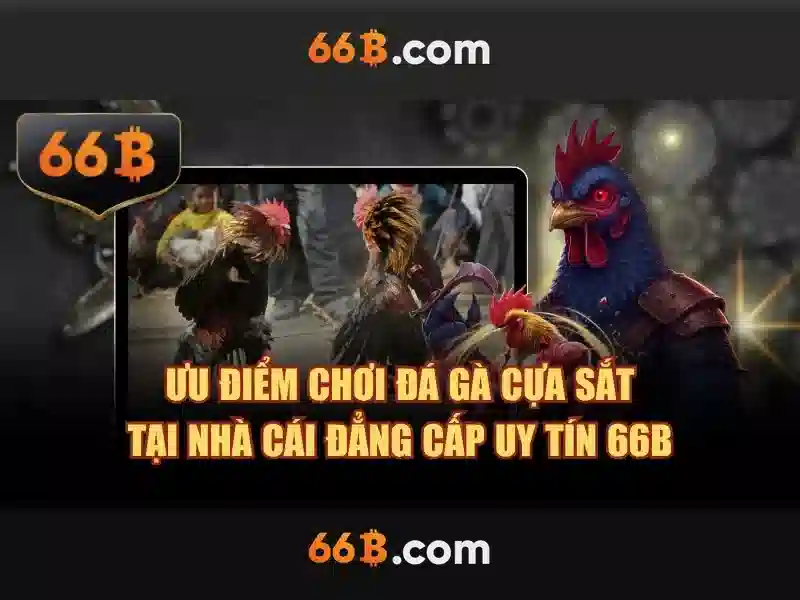66b nguyễn sỹ sách là gì – Tổng quan chủ đề và giá trị cốt lõi