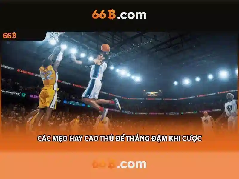 66B là gì?