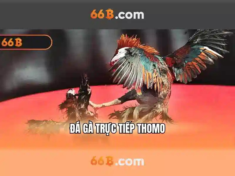66b: Tổng quan 66b: Tổng quan