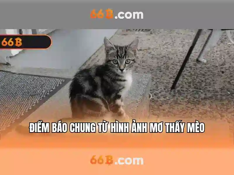 'Nguồn gốc và sứ mệnh của 66b vip'