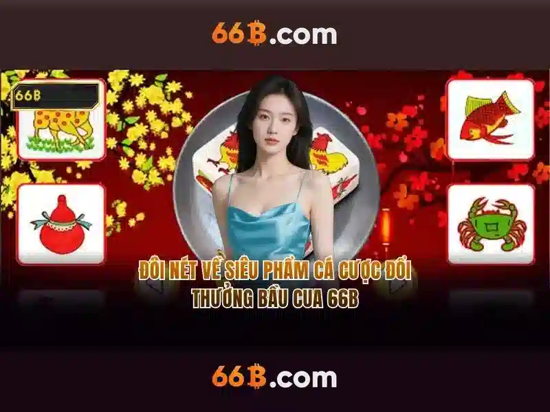 Tóm tắt và lời mời trải nghiệm