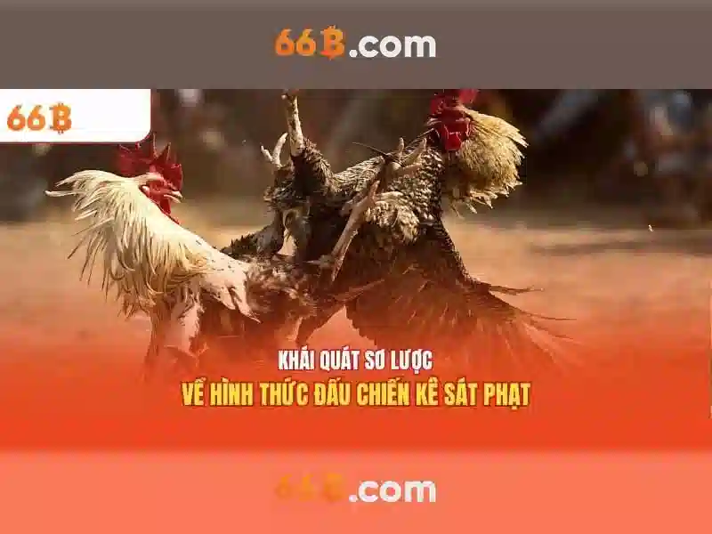 Ứng dụng và hiệu suất của 66b