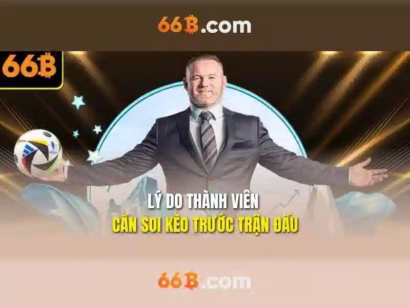 Tous les jours 66b cmt8: kết nối cộng đồng tại CMT8 và trải nghiệm dịch vụ Go88