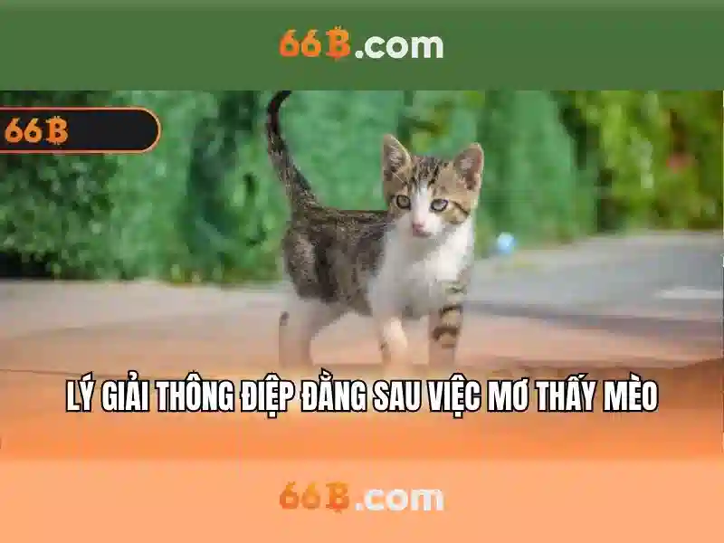 Khái niệm về 66B
