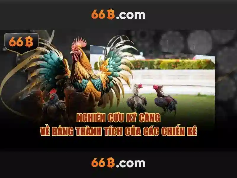 Kiến trúc và kích thước của 66b\n