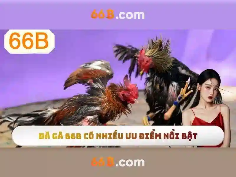 Giới thiệu về 66b