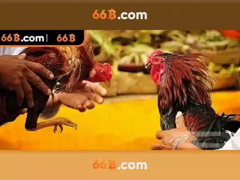 Mô hình 66B: sức mạnh, kiến trúc và ứng dụng Go88