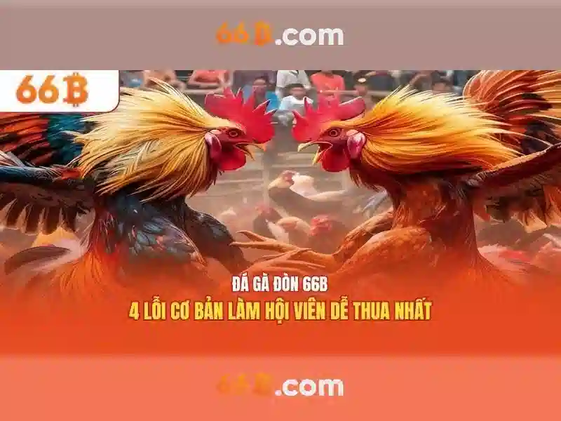Kiến trúc và tham số của 66b