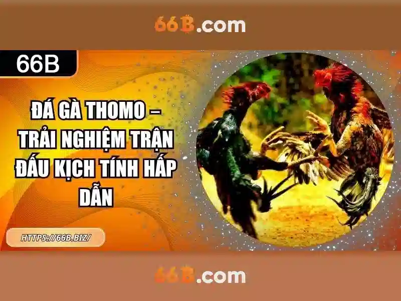 Lịch sử và nguồn gốc\n