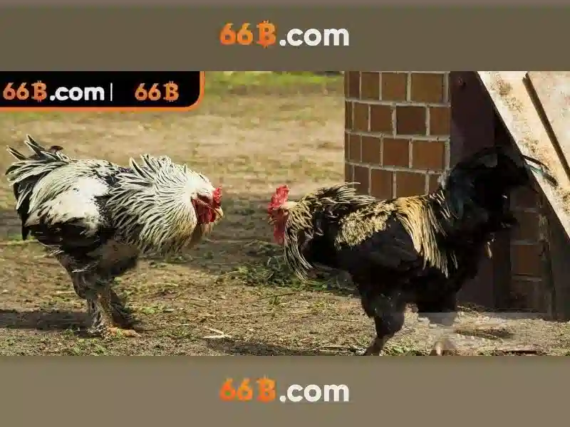 Hiệu suất và ứng dụng Hiệu suất và ứng dụng