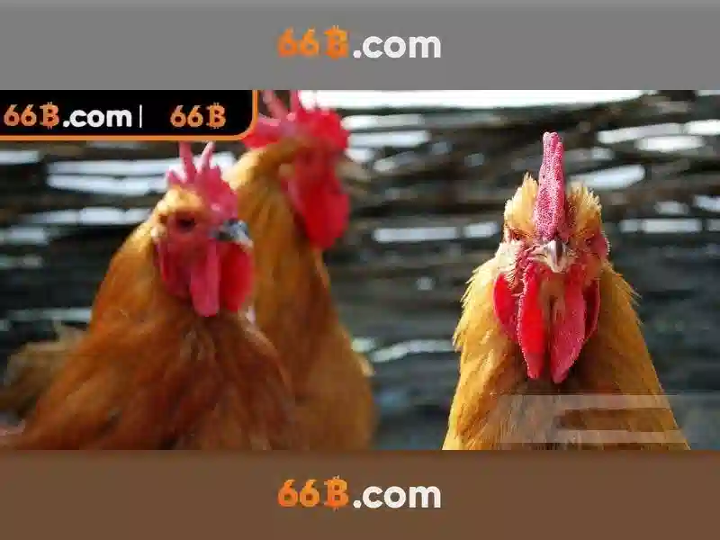 66B: Tài liệu về kích thước mô hình ngôn ngữ và ứng dụng Go88