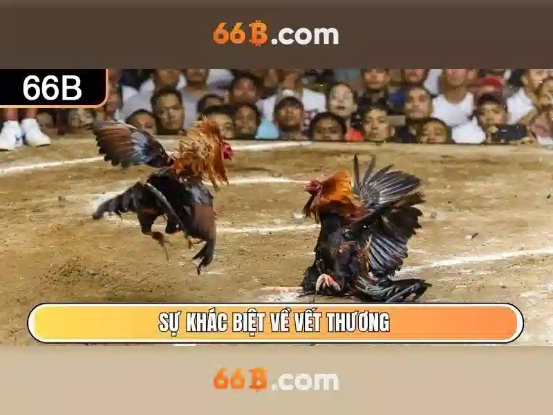 66b: Đánh giá và ứng dụng 1 Đăng Nhập