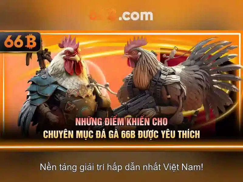 Cách hoạt động của 66B Cách hoạt động của 66B