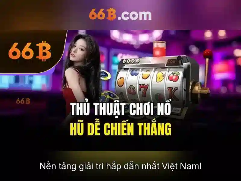 66b là gì