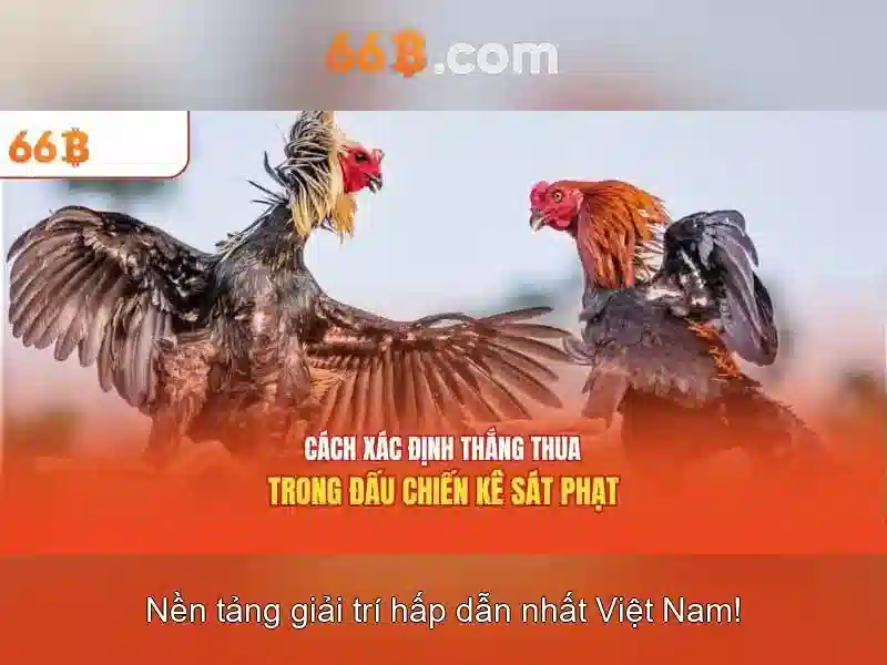 Nguồn gốc và ý nghĩa của ký hiệu 66b Nguồn gốc và ý nghĩa của ký hiệu 66b