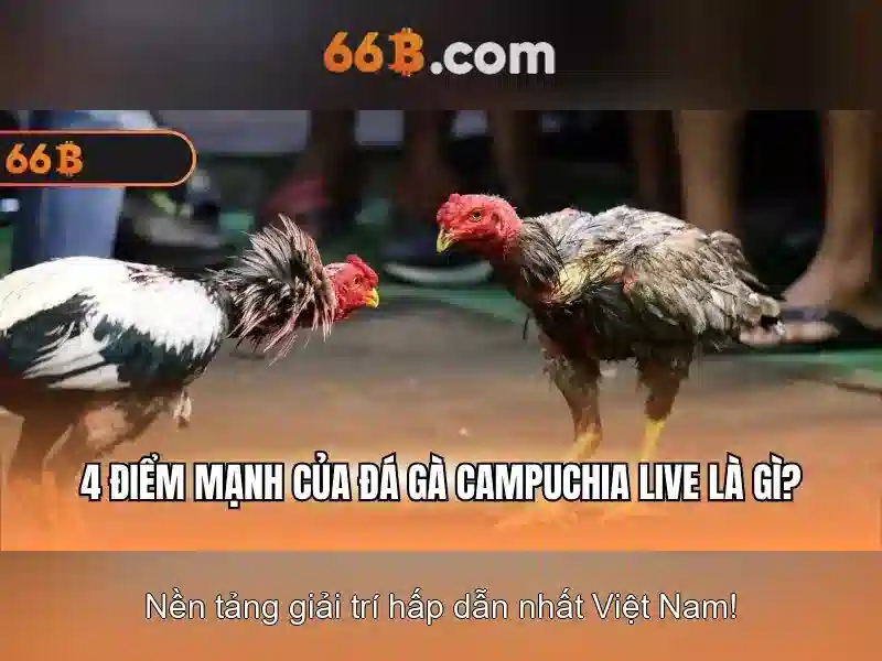 66b: Khai phạ đinh dạng nhị phân 66 bit Go88