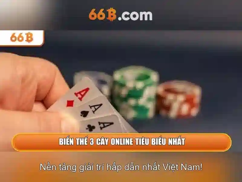 66B là gì? 66B là gì?