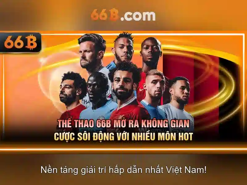 Giới thiệu về 66B\n\n