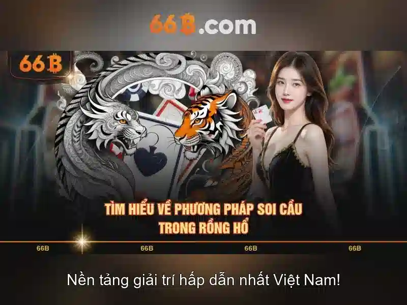 66b là gì? 66b là gì?