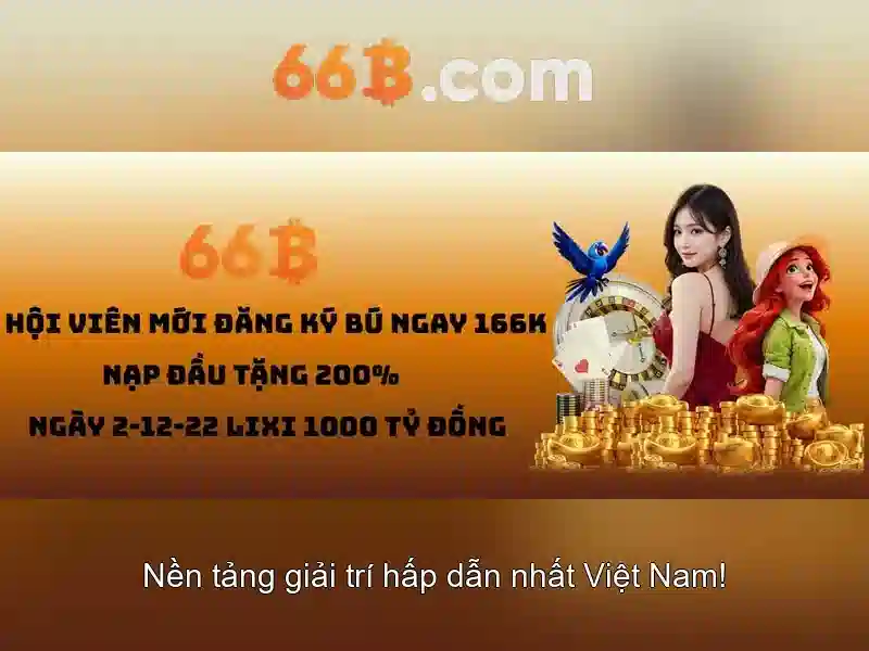 66B: khái niệm, kích thước và ứng dụng Go88