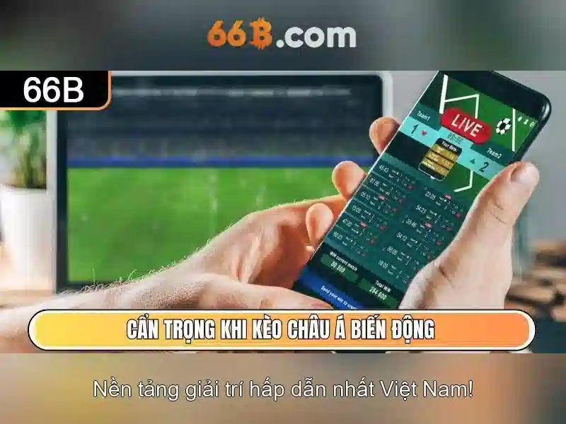 Vai trò trong công nghệ và dữ liệu\n