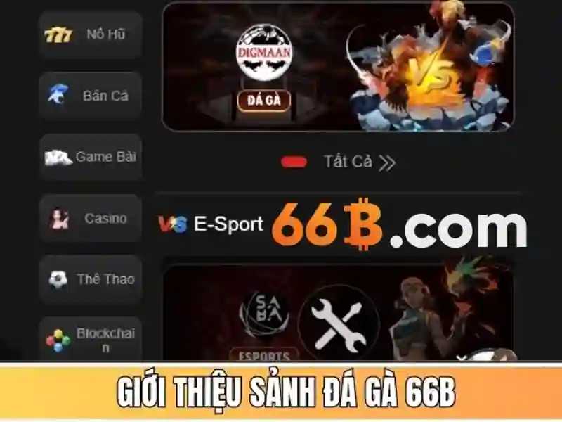 66B là gì? 66B là gì?