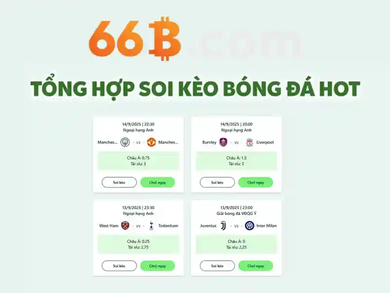 66b: một cái nhìn tổng quan về mô hình ngôn ngữ lớn 66 tỷ tham số Go88