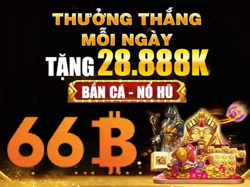 Quy mô và hiệu suất\n