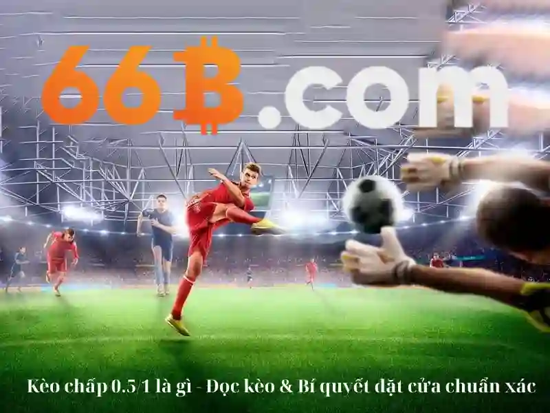 Tổng quan chủ đề và giá trị cốt lõi của hoogoorddreef 66b 1101 be amsterdam